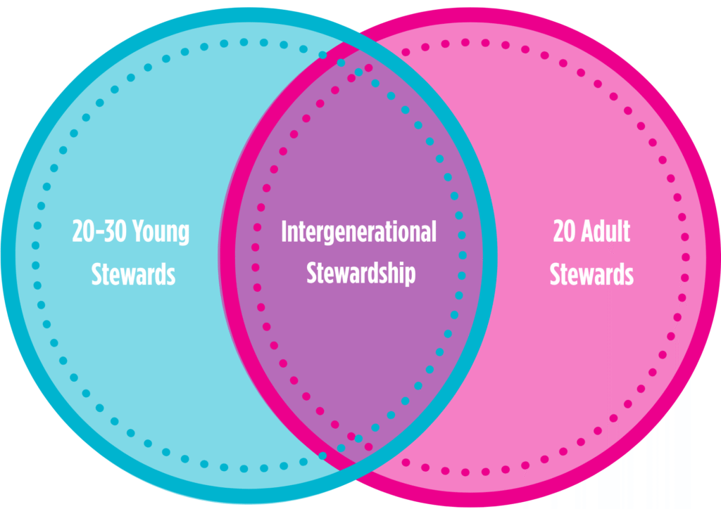 A Venn diagram with one circle labelled 20-30 young stewards and one circle labelled 20 adult stewards, overlapping in the middle labelled Intergenerational Stewardship